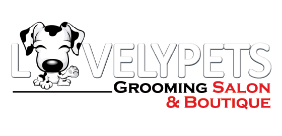 logo horizontal 1
