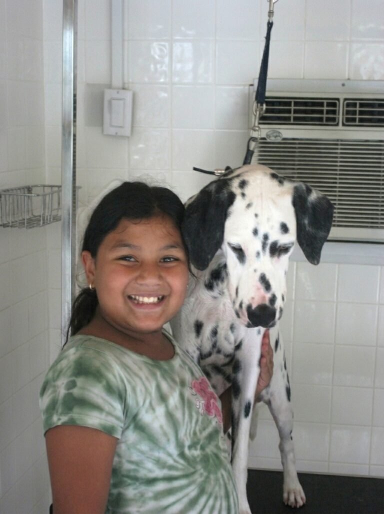Lovely Pets Grooming Salon & Boutique photo 1