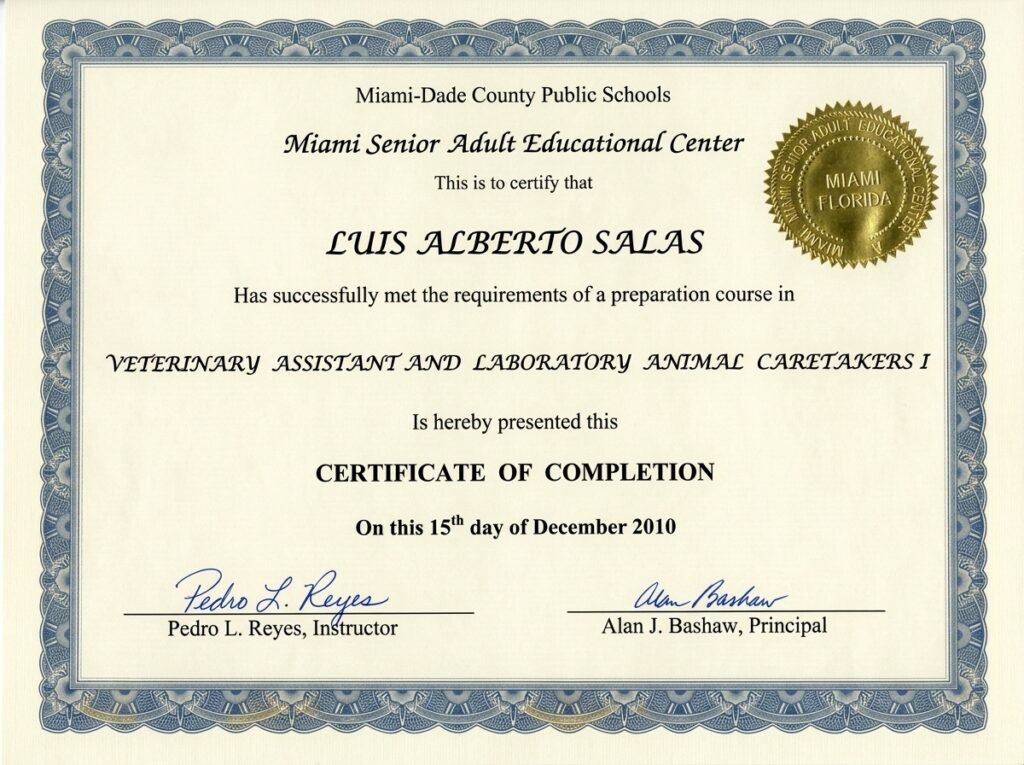 diploma complete 202605201042